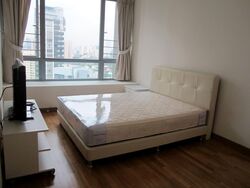 Park Infinia At Wee Nam (D11), Condominium #593612061